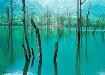 都江堰龙池国家森林公园